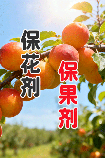 保花保果方法 保花保果剂配方生产工艺 保花保果方法 保花保果剂配方生产工艺