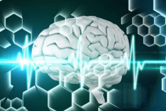 人类的思考能力是如何由来的呢，科学家预测与病毒入侵有关